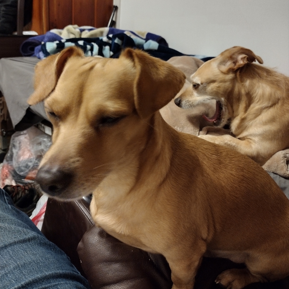 Meet your Posher, Michael